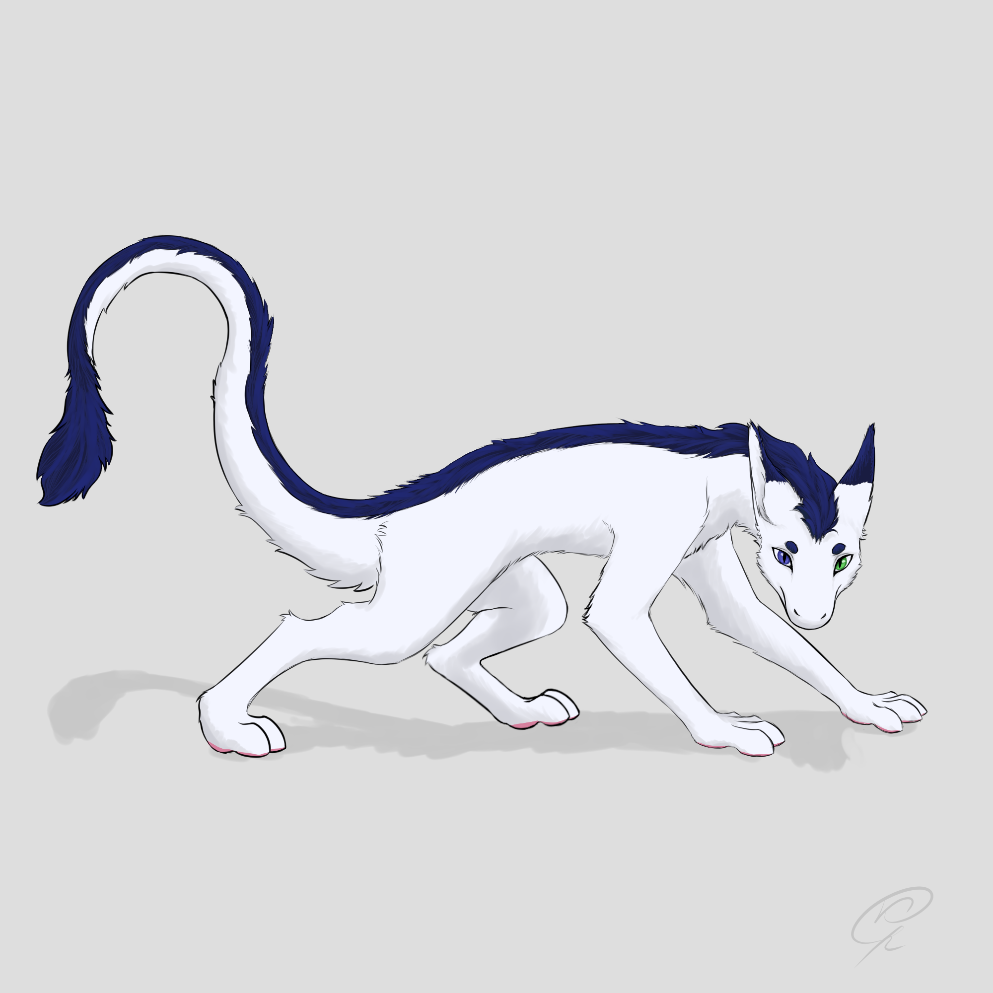 пушистый дракон Кир