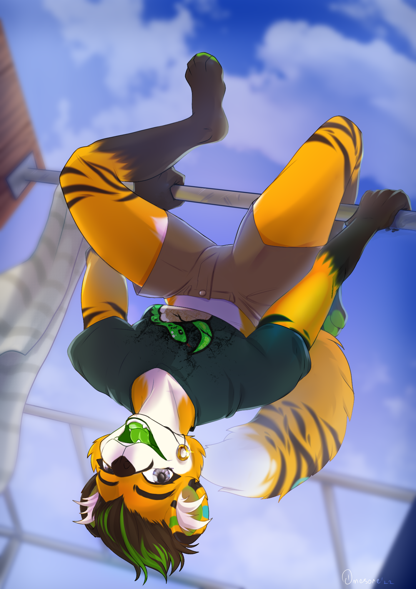 собака висит