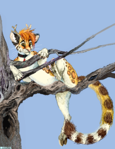 Это был подарок