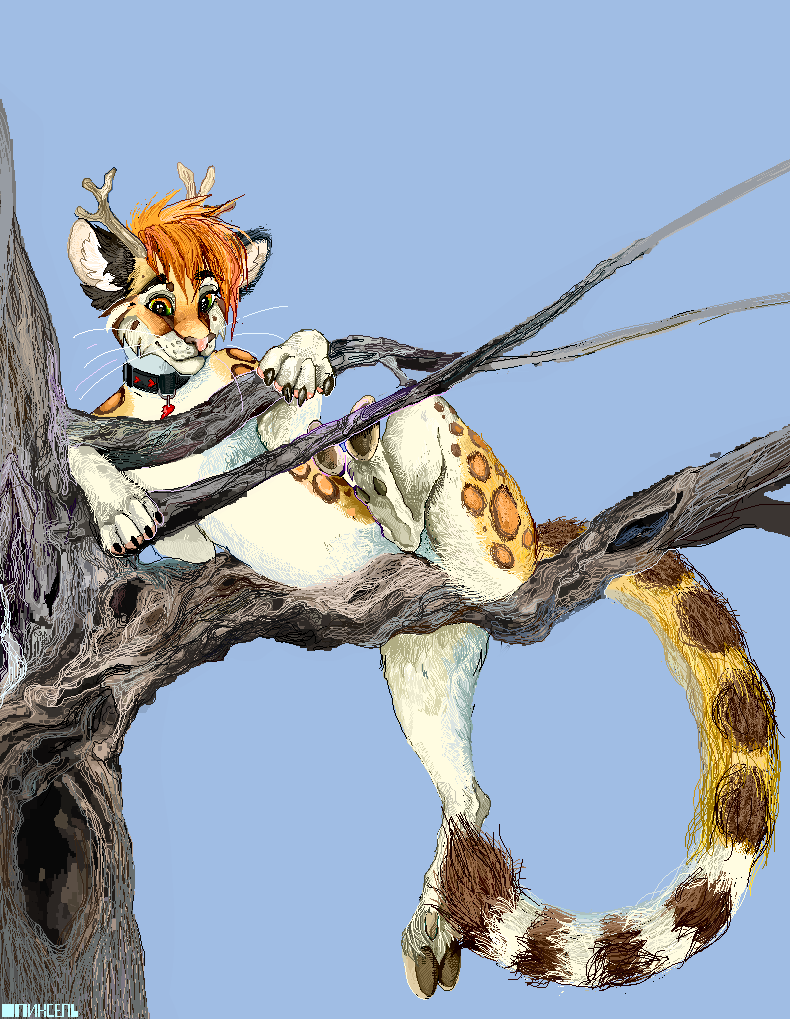 Это был подарок