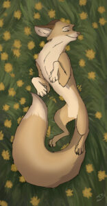 Лис в одуванчиках