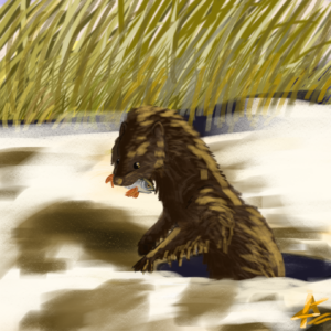 Норка с рыбкой