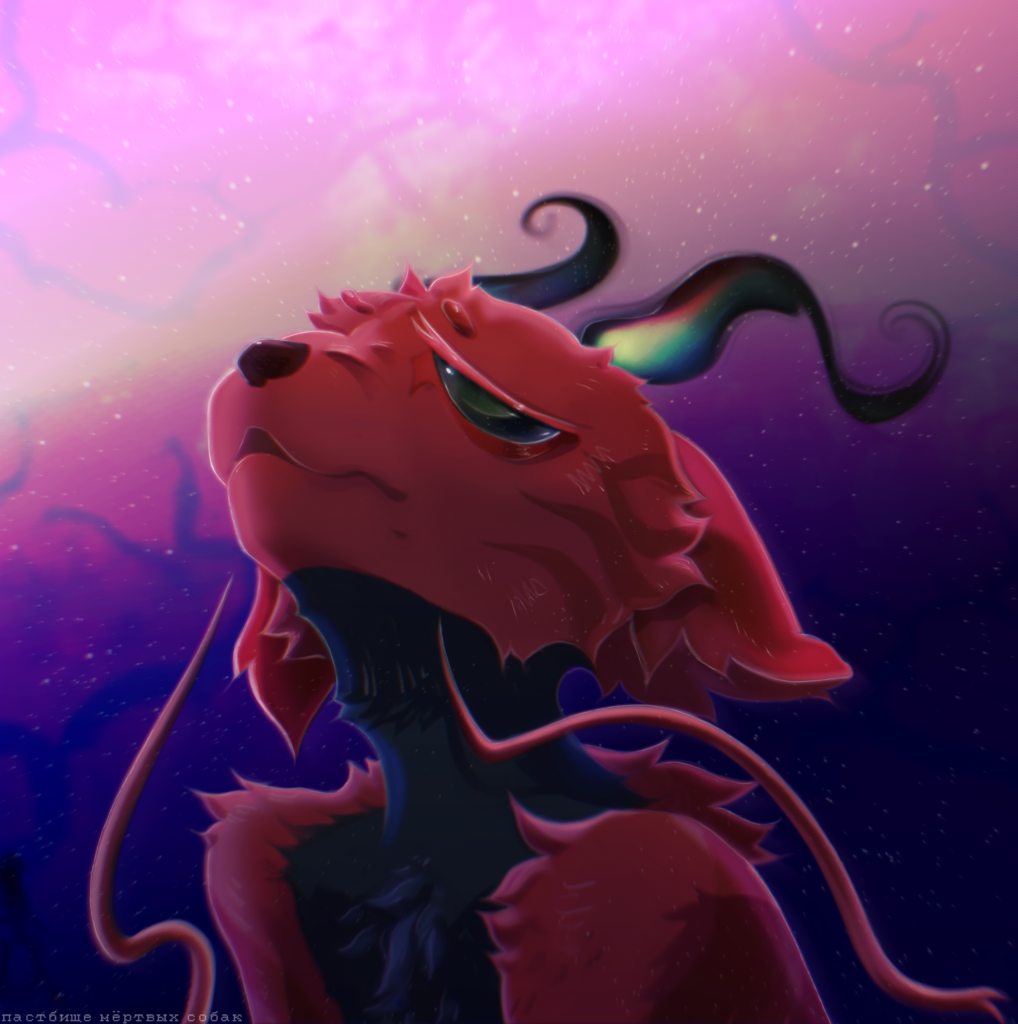 кот