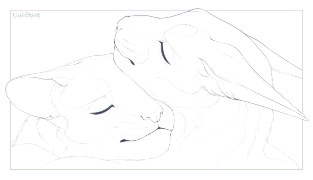 Кот кот