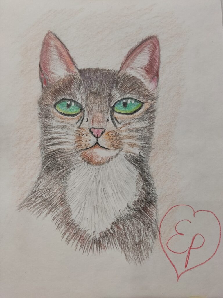 кот