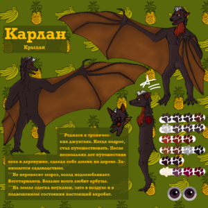 Заказ Референс Карлан (занят)