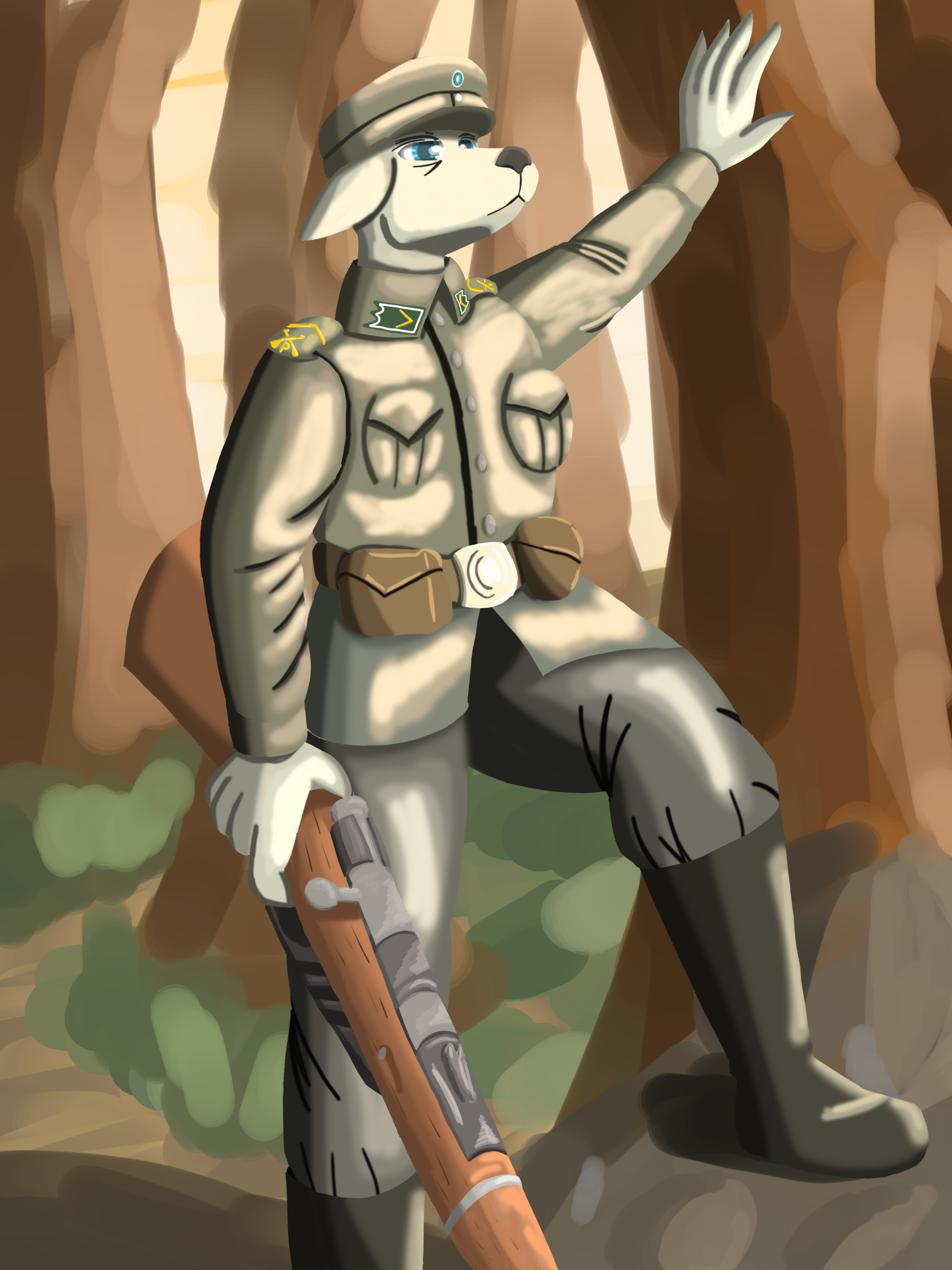 Невысокое солнце осени