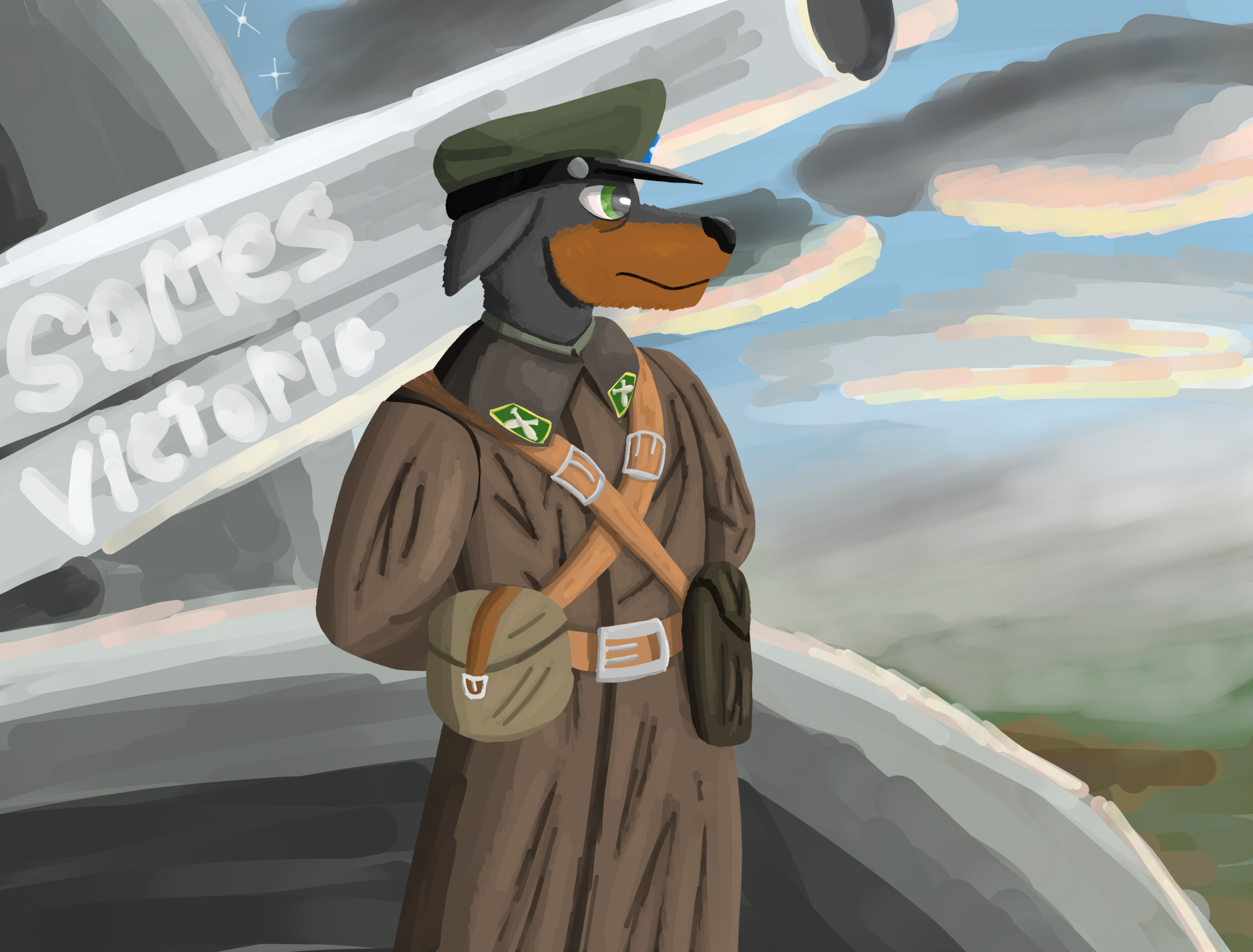 Сталь и порох