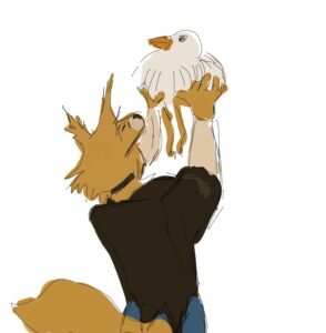 лис и курица