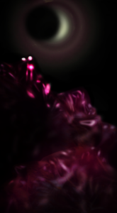 Вид на затмение с кристальных гор.