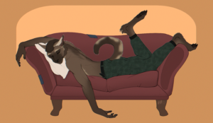 Спящий кошарик