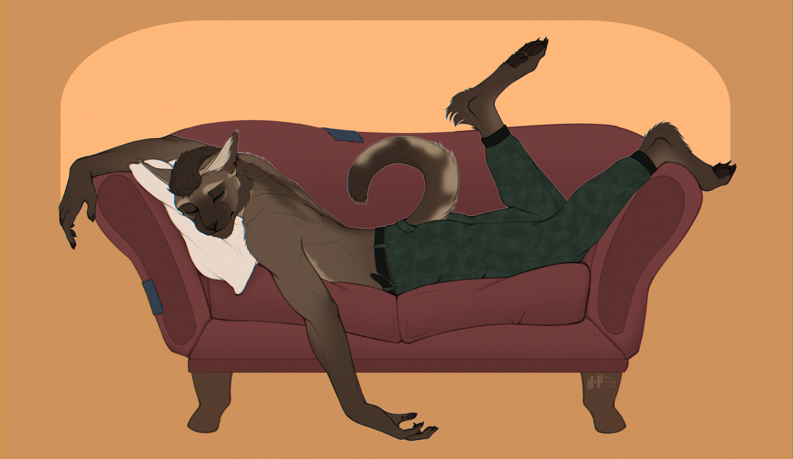 Спящий кошарик