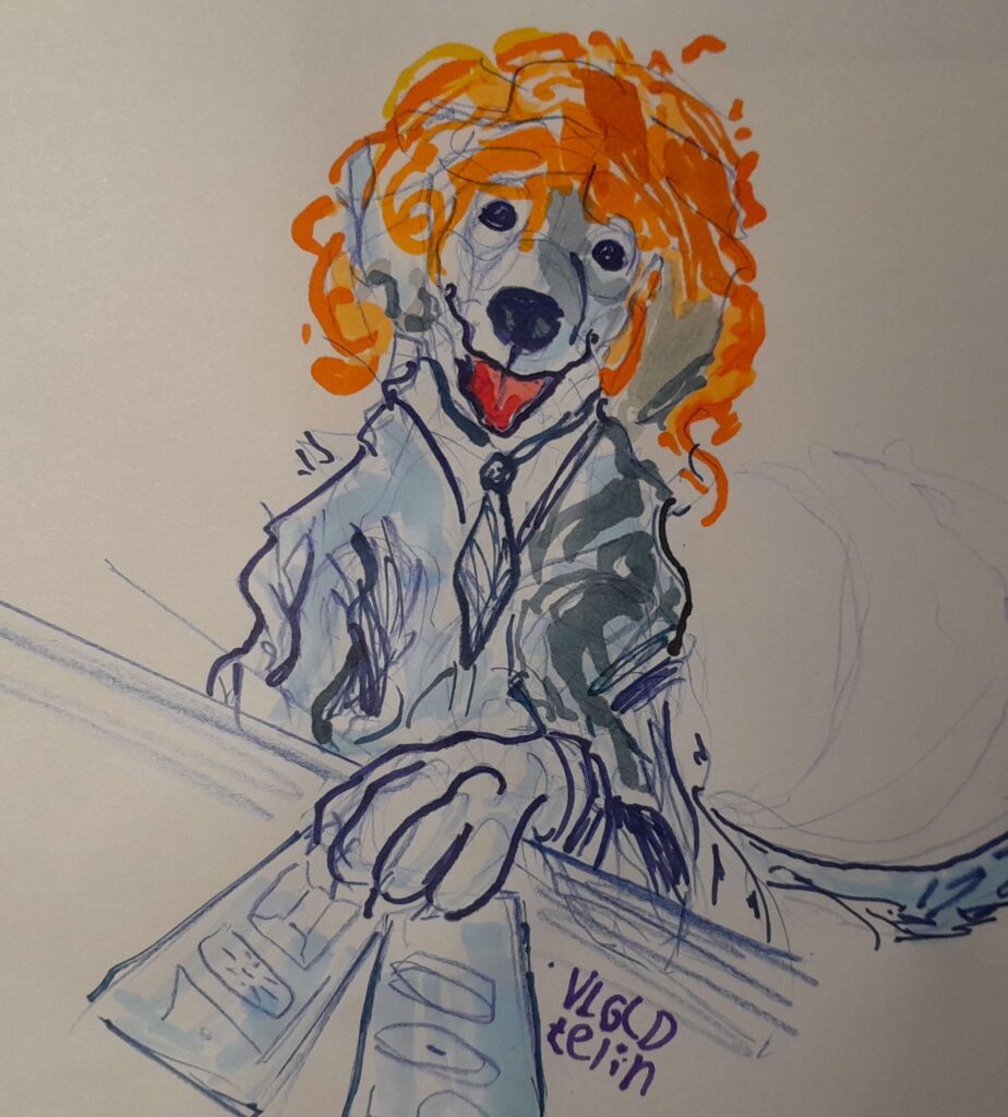 Dogbrain