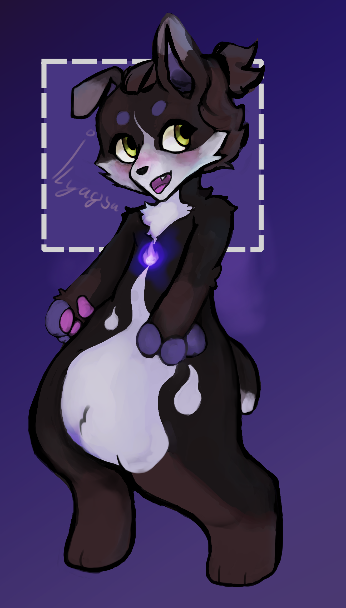 Безымянный корги проводник душ