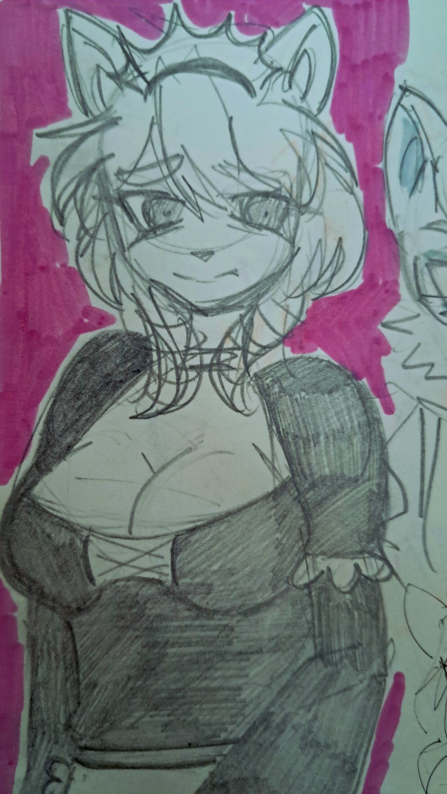 моя фурсона:3