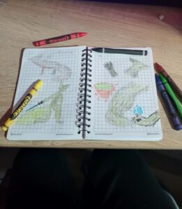 Рисунок мелками