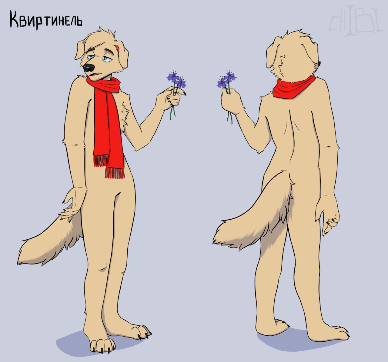 Ваш извечно золотистый ретривер