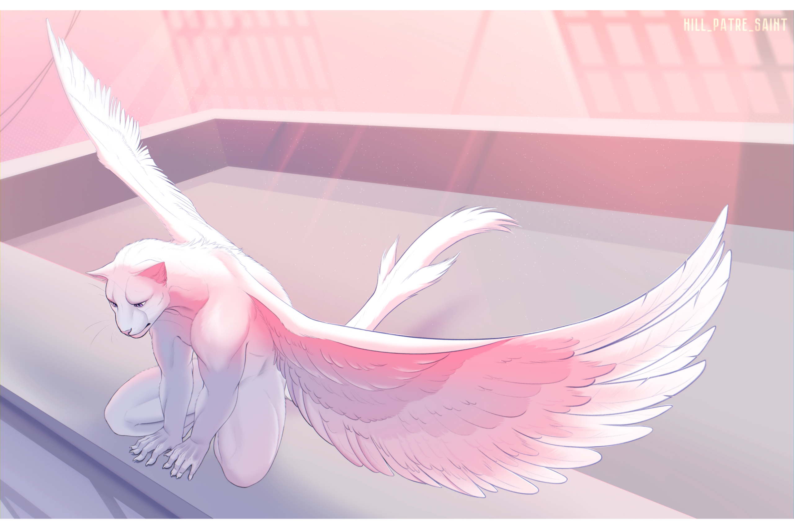 Рассвет на крыльях