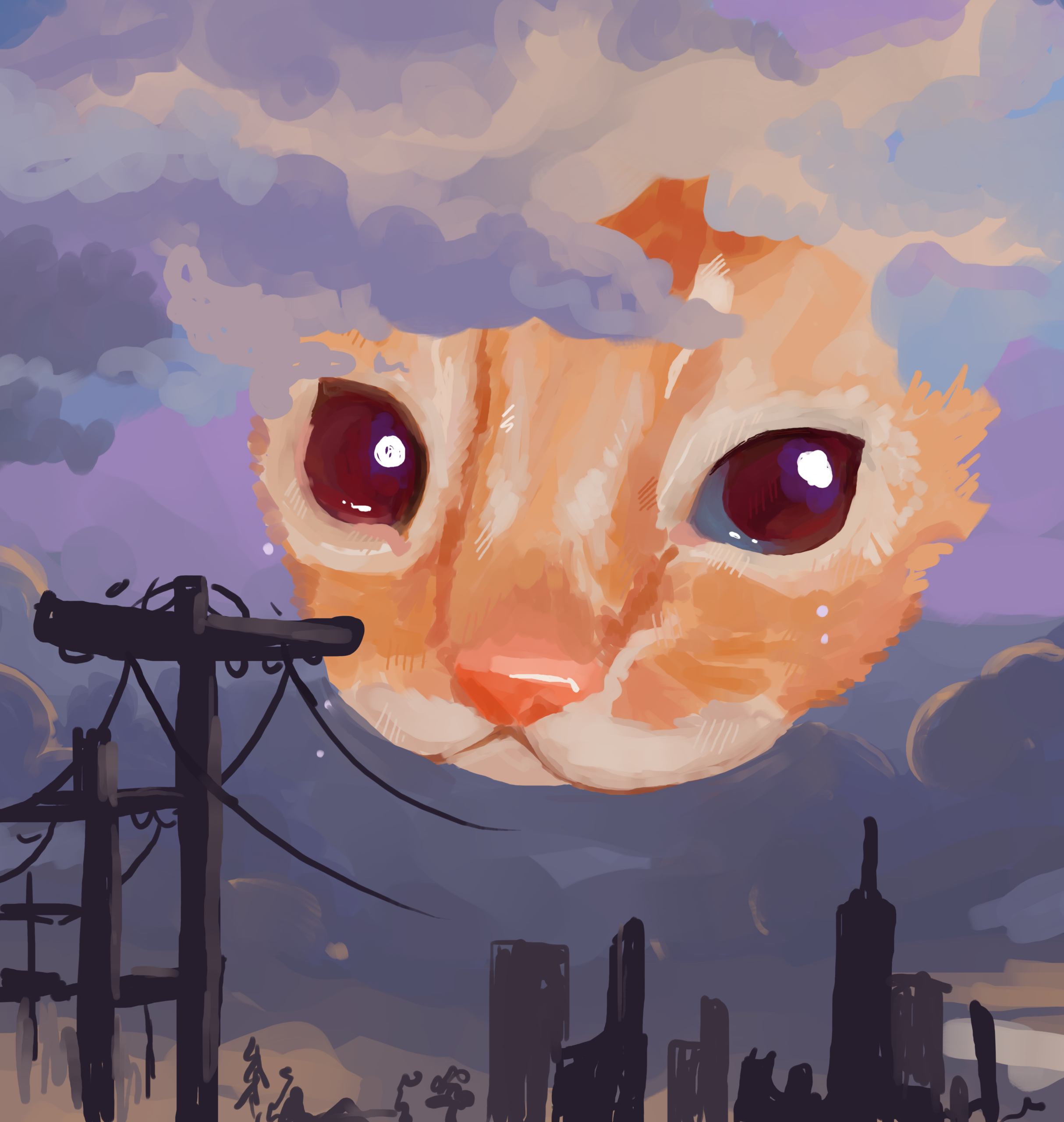 котенок в небе