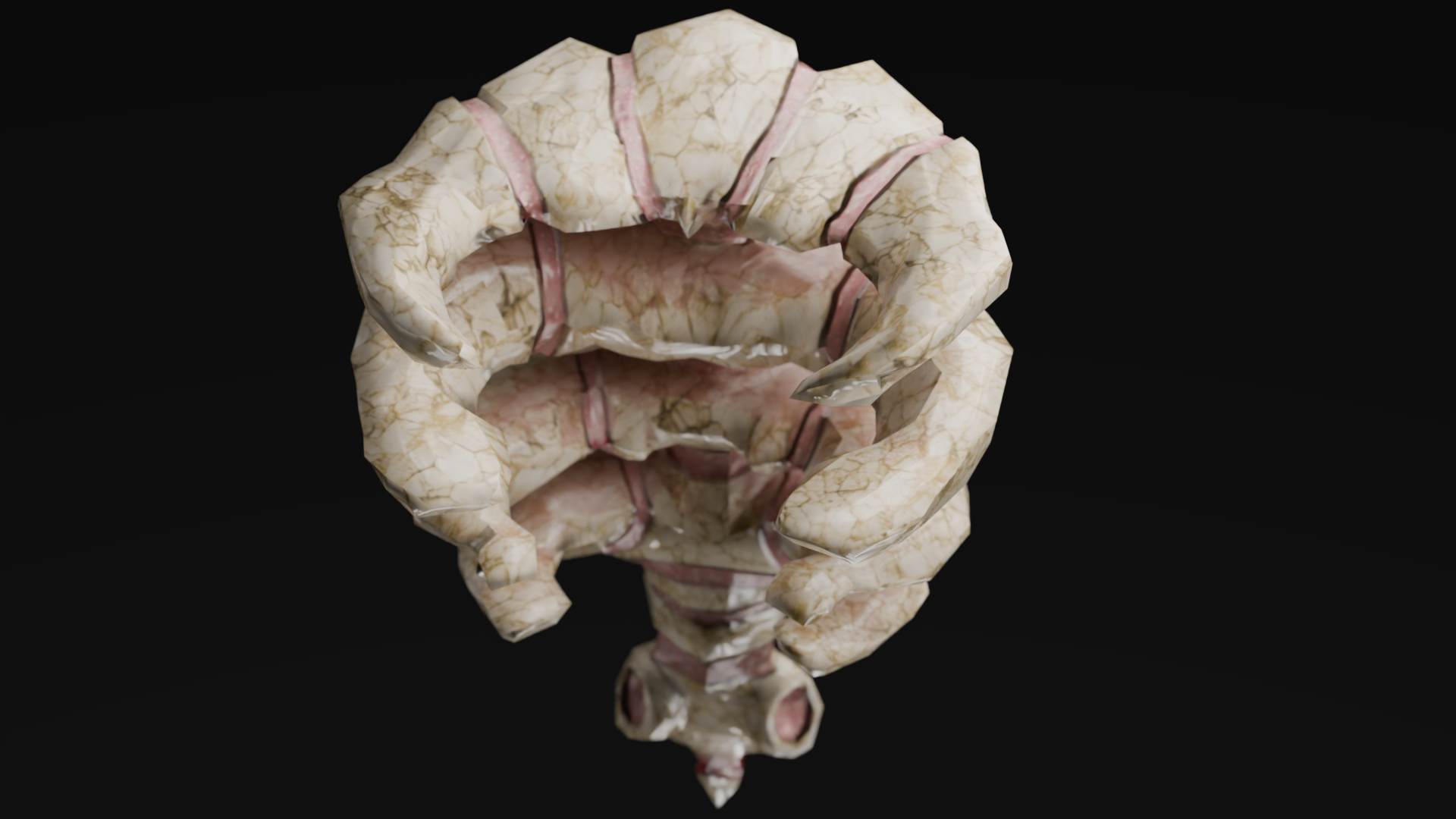 Грудная клетка