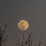 Rises the moon – Guitar minus