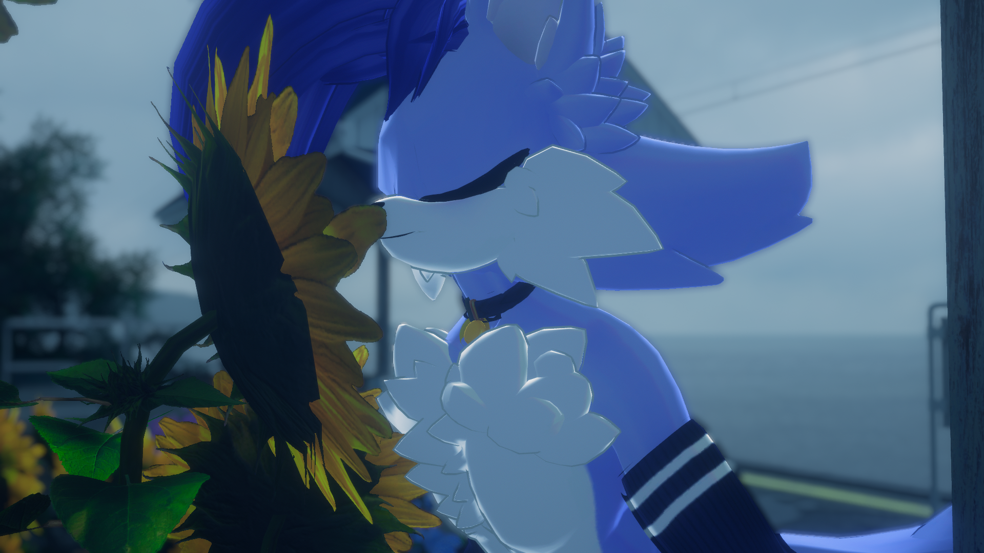 Подсолнушек