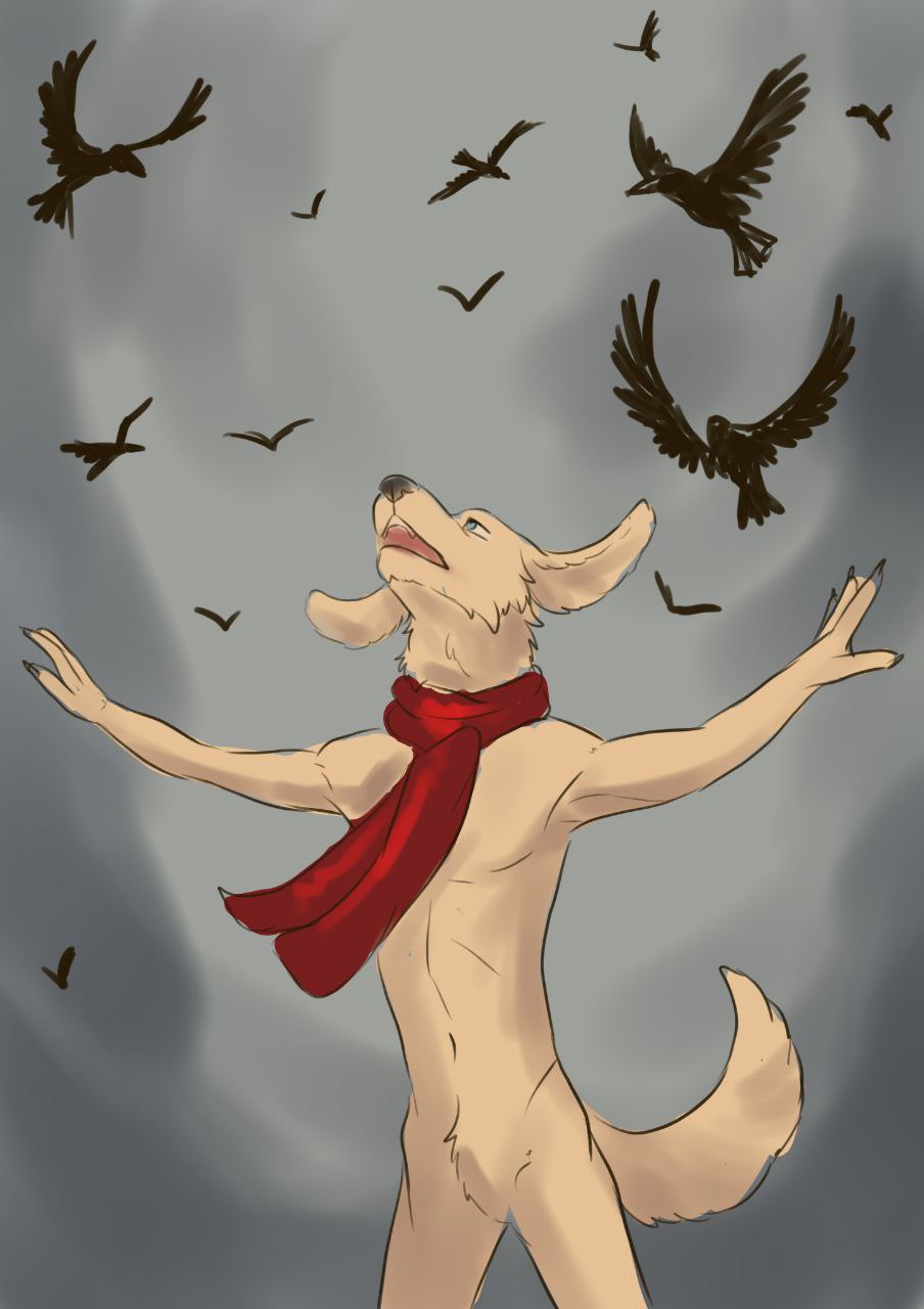 Вслед за ними