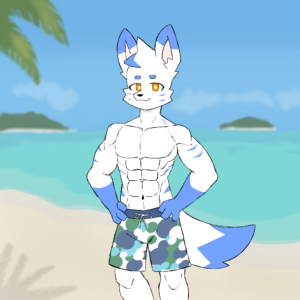 Мускулистый лис на пляже