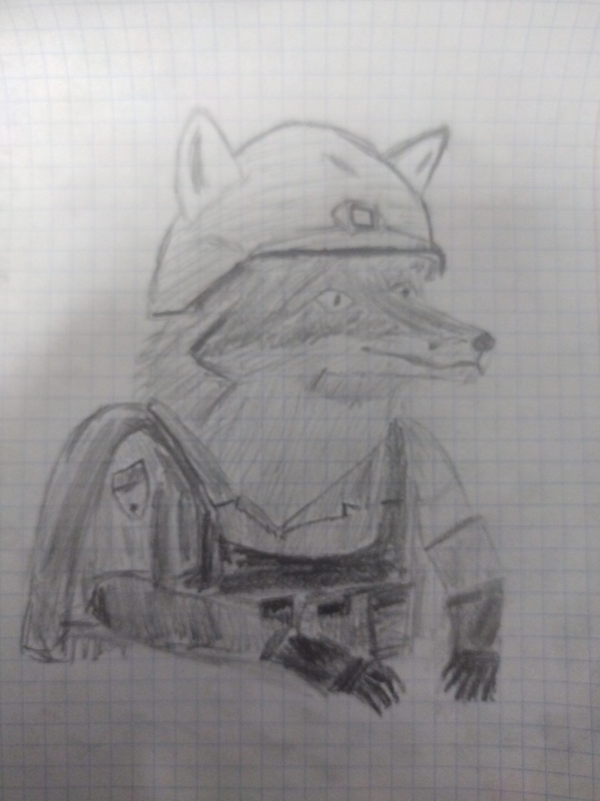 Zaranat арт по моей первой фурсоне