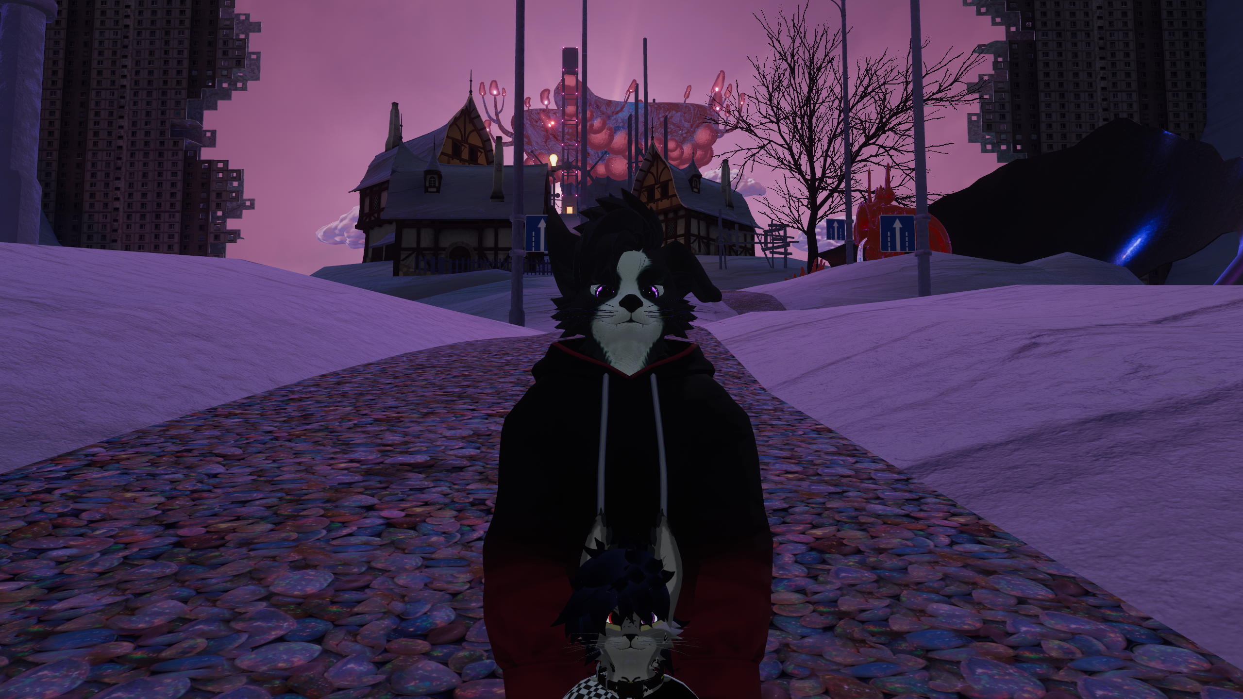 Фотографяшки