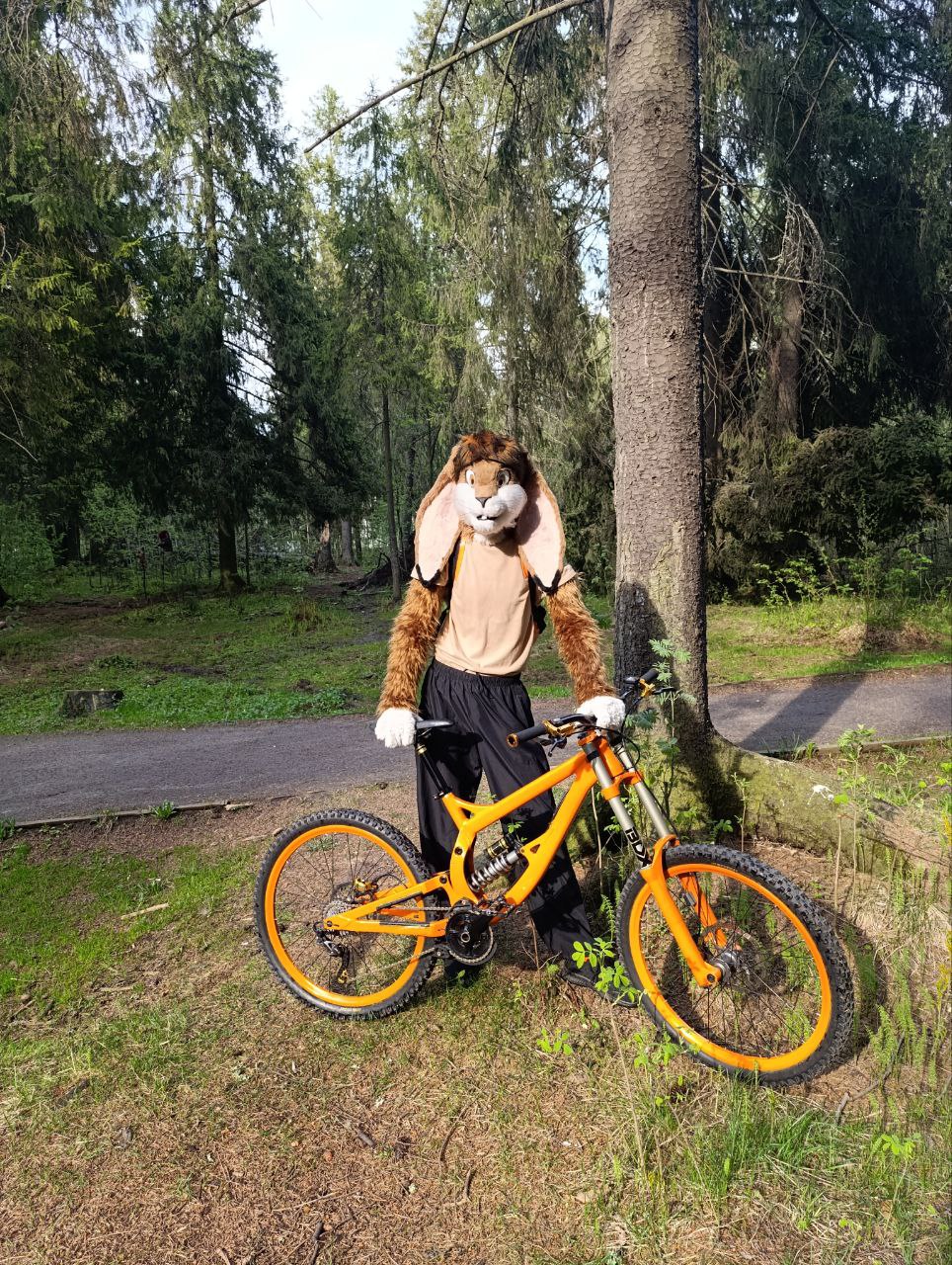 Сьют и Байк