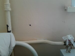 Паучёк или фраза мя тут долго ))