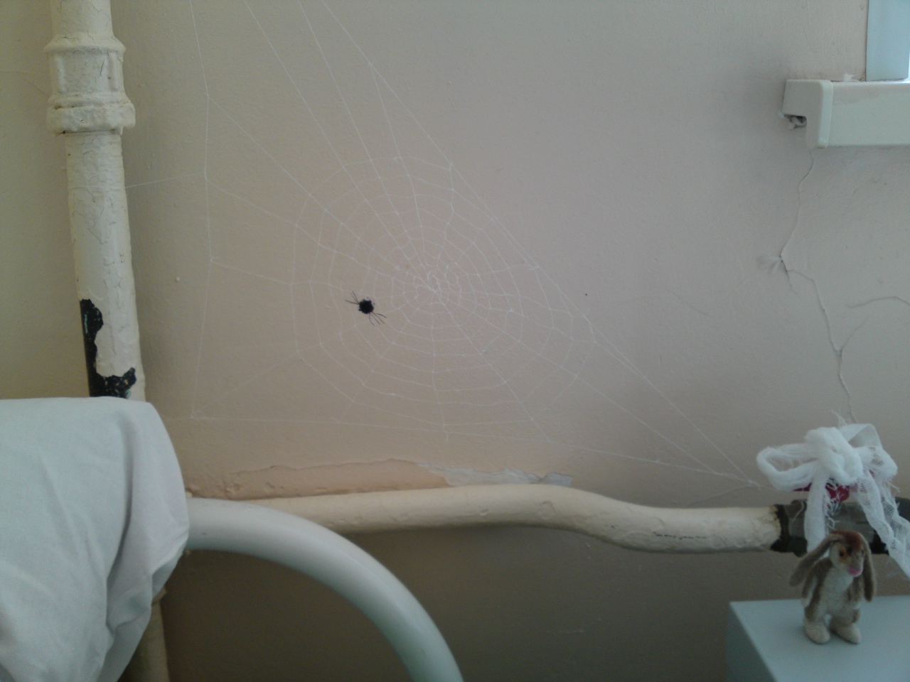 Паучёк или фраза мя тут долго ))