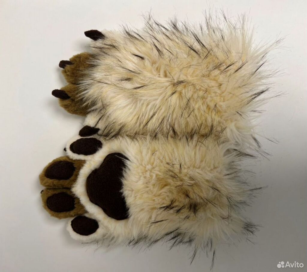 Paws