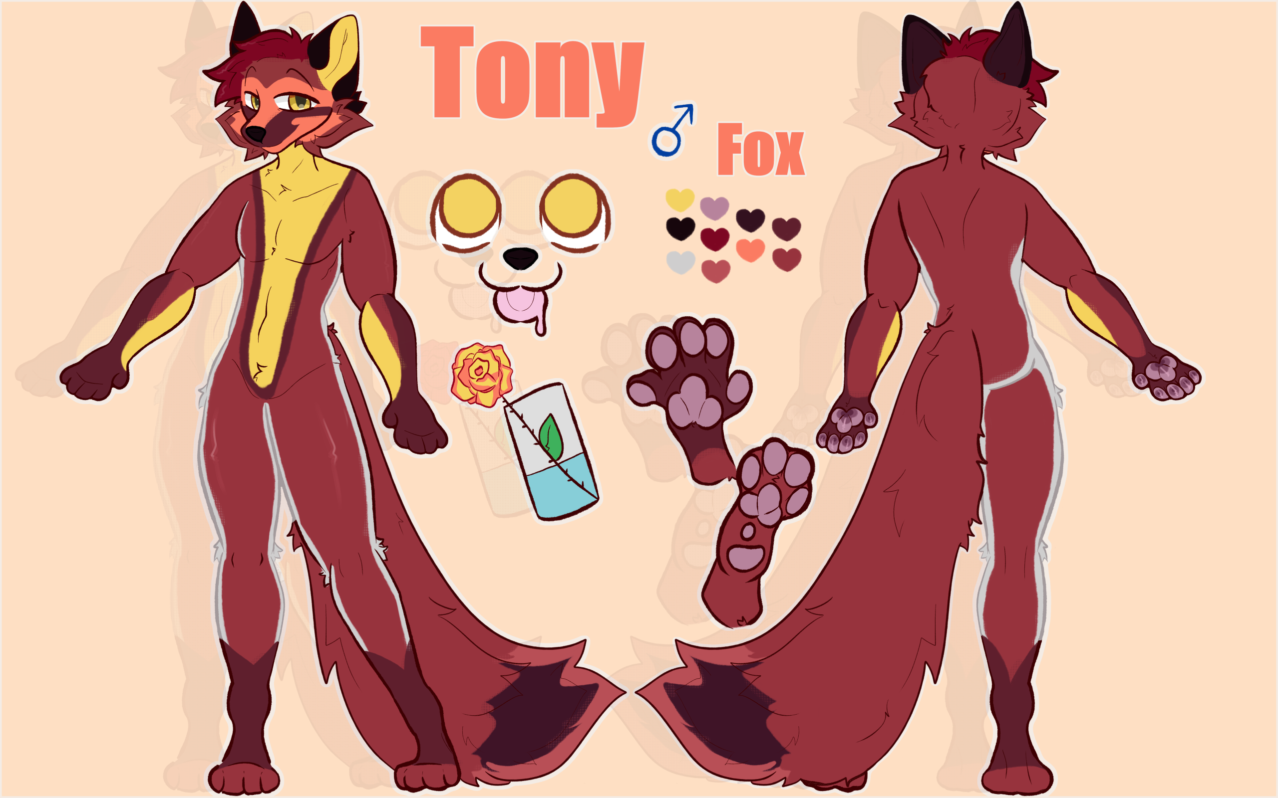 Red Fox