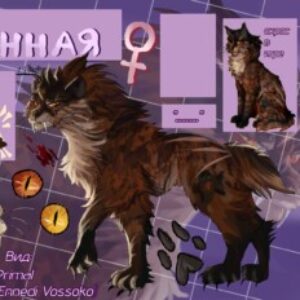 Shmel777 - картинка профиля пользователя