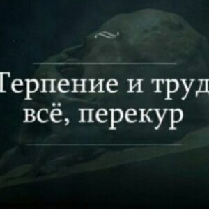 tuitui - картинка профиля пользователя