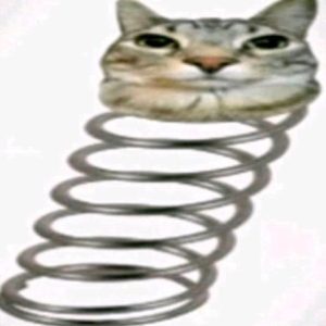 DAYALT - картинка профиля пользователя