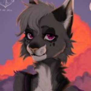 @KaiRel - картинка профиля пользователя