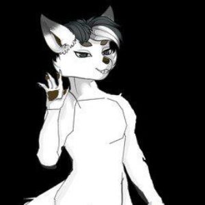 Wise Fox - картинка профиля пользователя