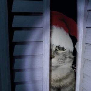 IgloBRUH - картинка профиля пользователя