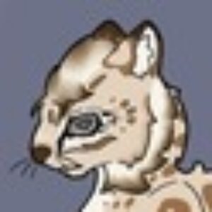 Nast - картинка профиля пользователя