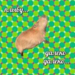 Cybrex - картинка профиля пользователя