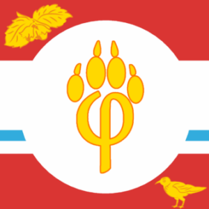 FO-Z - картинка профиля пользователя