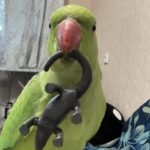 Картинка профиля