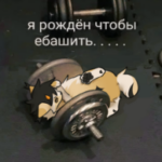 Косич - картинка профиля пользователя