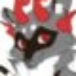 Kira- Raccoon - картинка профиля пользователя