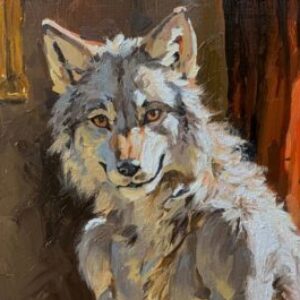 Mikolli - картинка профиля пользователя